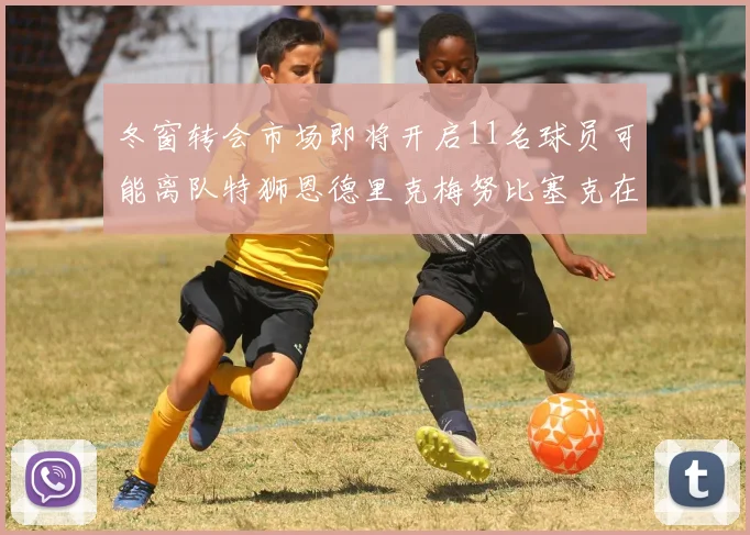 冬窗转会市场即将开启11名球员可能离队特狮恩德里克梅努比塞克在列