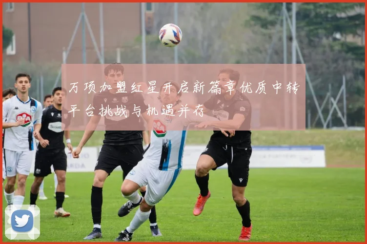万项加盟红星开启新篇章优质中转平台挑战与机遇并存
