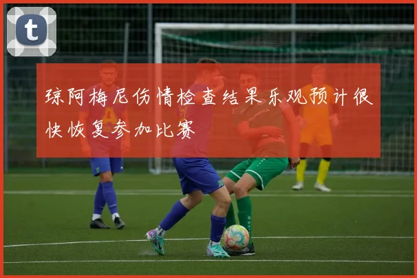 琼阿梅尼伤情检查结果乐观预计很快恢复参加比赛