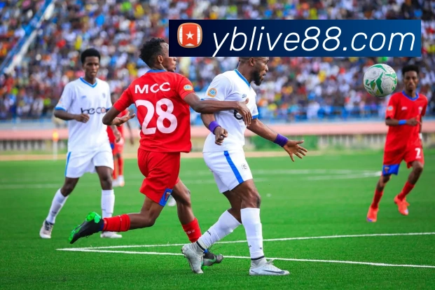 友博体育发展历程